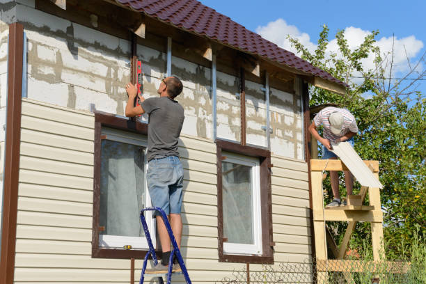 Best Siding Painting and Refinishing  in Colon, MI