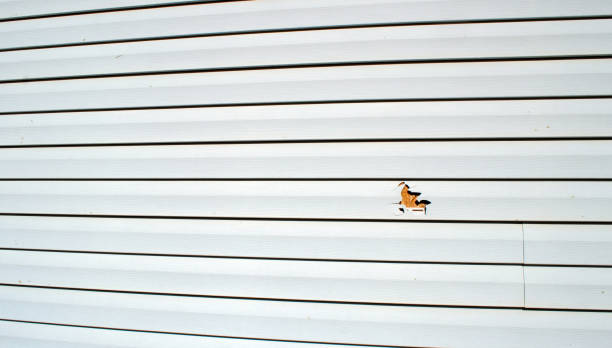 Affordable siding repair and maintenance services in Colon, MI