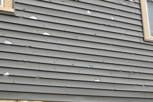 Trusted Colon, MI Siding Installation & Repair Experts