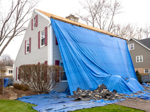 Best Custom Siding Design  in Colon, MI