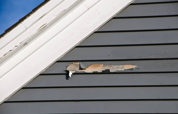 Historical Building Siding Restoration in Colon, MI